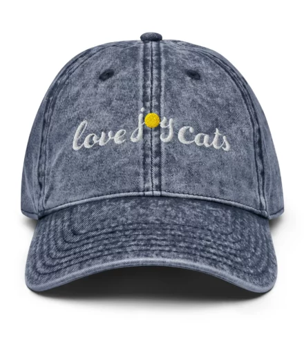 love-joy-cats-sun-vintage-cap-navy-front